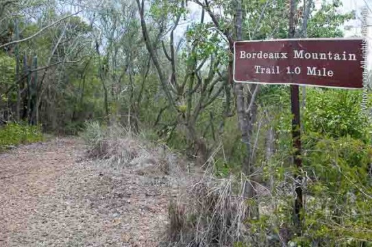Bordeaux Mountain Trail